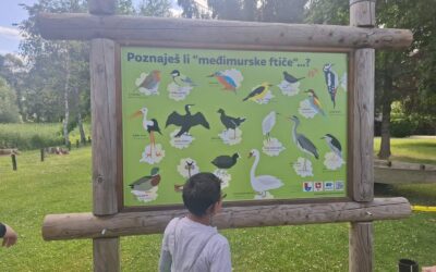 “Svetomartinska Mura”