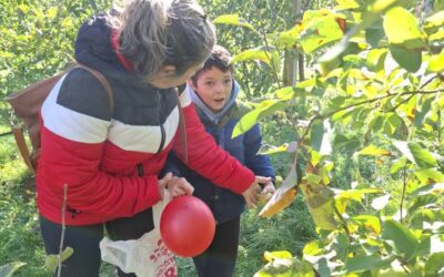 Voćnjak AGRO Vratišinec
