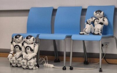 “My robot, My learnmate”